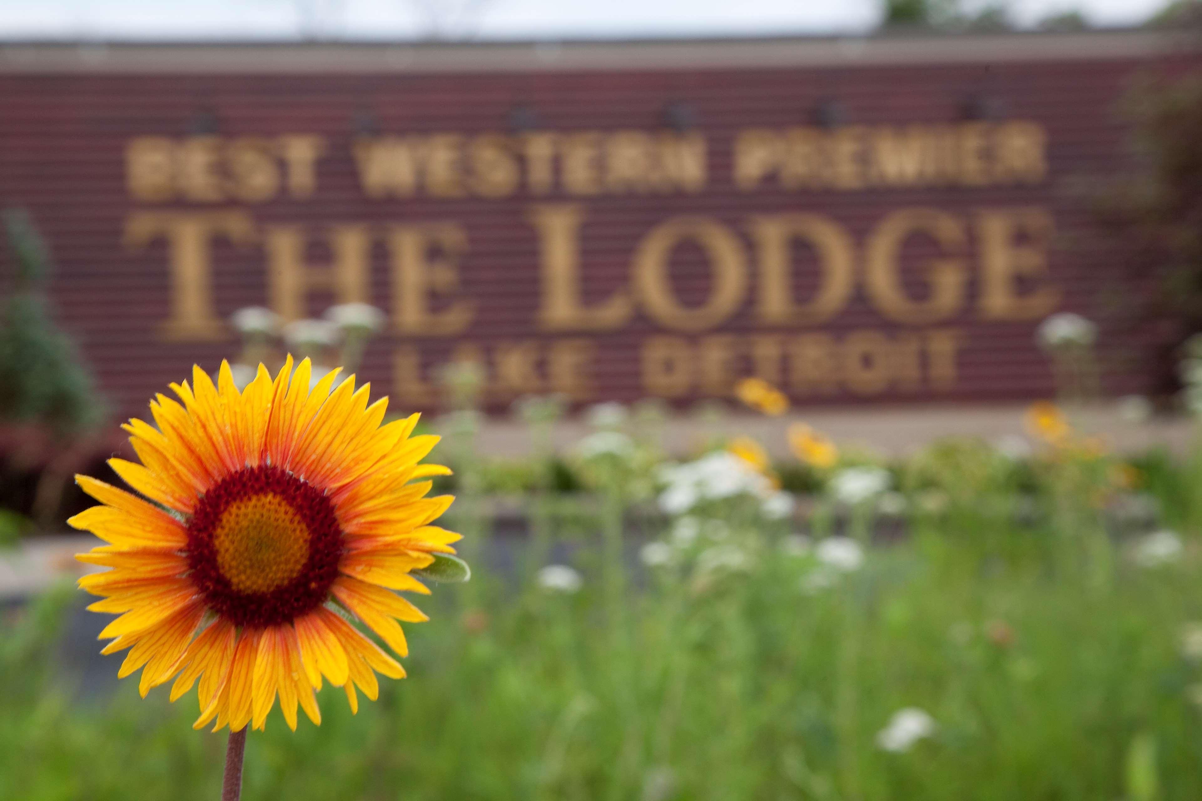 Best Western Premier The Lodge On Lake Detroit Detroit Lakes Eksteriør bilde